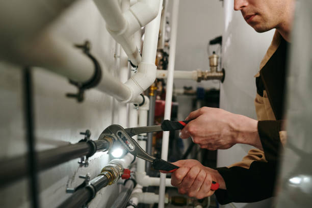 Best Septic Systems  in Trumansburg, NY