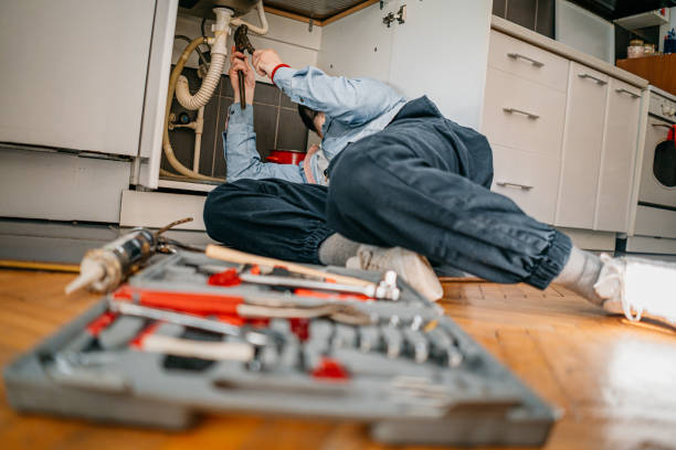Best Same-Day Plumbing Service  in Trumansburg, NY