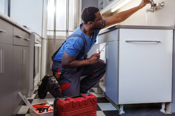 Best Best Plumbers Near Me  in Trumansburg, NY