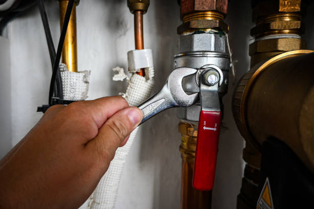 Best Plumbing Repair Near Me  in Trumansburg, NY